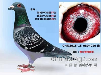 ��֮��������ս��Ӯ�İ���û��(ͼ)