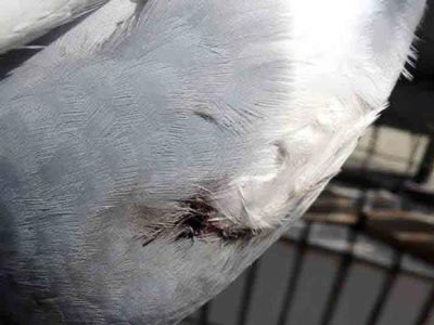 ���飺�˳����� 500���ﻹ����(ͼ)