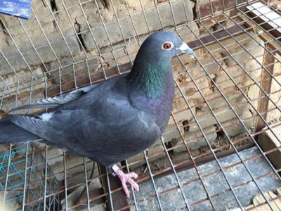 ��������ô��ô����(ͼ)