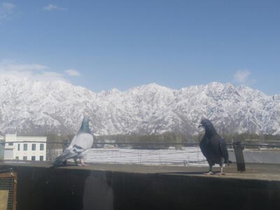 �׸뿸��ס��ʱ����ѩʱ����ɹ(ͼ)