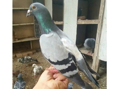 ���Ѱ��� �ϳ�һ��(ͼ)