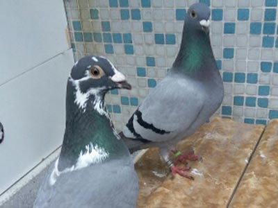 �ܳ��������ŮҪ����(ͼ)