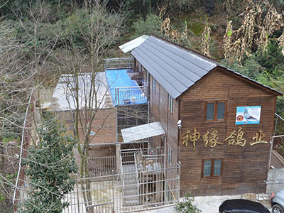 ר�ã��������ۻ������Ե��ҵȫ��(ͼ)