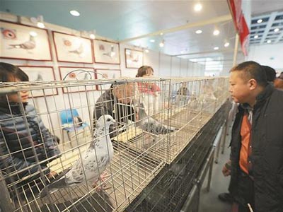 �������룺Ϊʲô�Ÿ��������