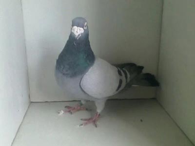 �����к����������� �ѷ���������(ͼ)