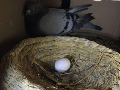 ���ź��ˣ�����˲��û����(ͼ)