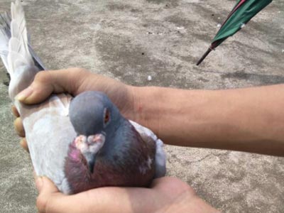 ��ϲ�����̵Ĵ�����(ͼ)