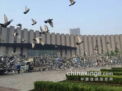 ����Ҳ������ǿ����