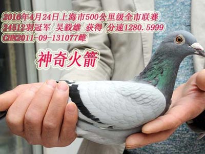 �������룺16���Ϻ�24512�������ھ�(ͼ)