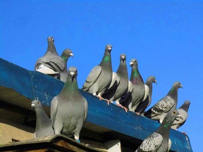 ���������ࡱ�ҿ���