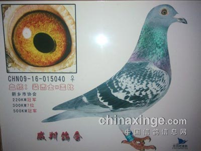 �빫��񽱣��ȹ�Э��������(ͼ)