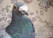 �����½⣺�벻Ҫ�����ǧ����