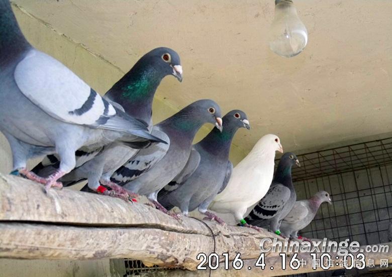 ���ٱ�𽡿�״̬����