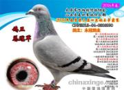 ̫ԭ������Ĺ�����������ǰʮ����(ͼ)