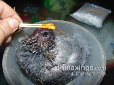 ͼ��ֱ�����׸��崴�����(ͼ)