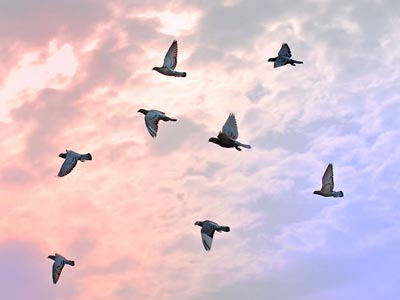 ������������ ��6�������