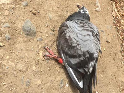 ��ô�죺������ˮ�ˣ�(ͼ)