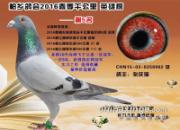 ����ǧ���ｱ�룺��������ǧ��������λ(ͼ)