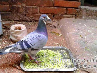 �ԼҰ��� һ��ʶ��(ͼ)