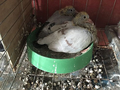 ĸ�׳����ҵ��������(ͼ)