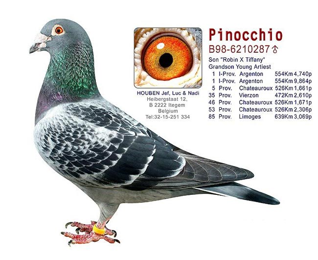 ÿ��һ�룺����֮��Ƥŵ�ܡ�(ͼ)