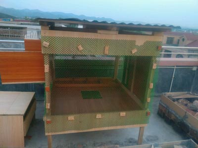 �������� ��ֵ��ӵ��(ͼ)