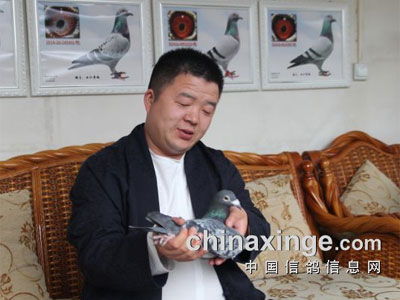 �����������ֲ��ܹھ�-��������(ͼ)