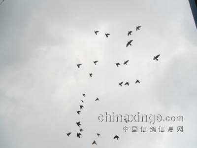 ��������һ���