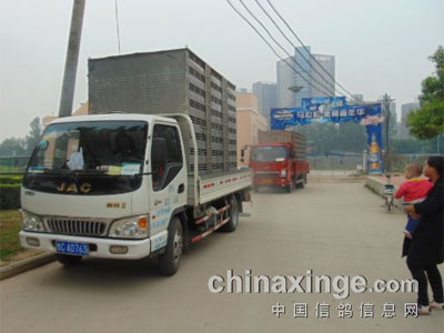 ֣ݹһֳ˾ų½ִ(ͼ)