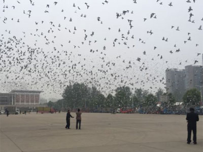 ֱֳ֣ݹ57627ŷɾ˲(ͼ)