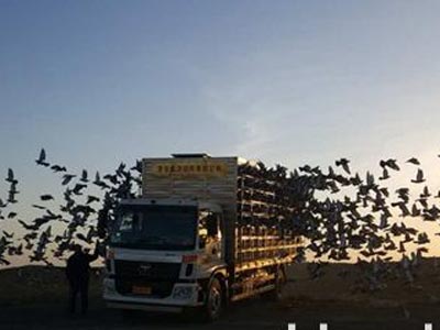 ����֮ս���˼������ǲ�ɣ