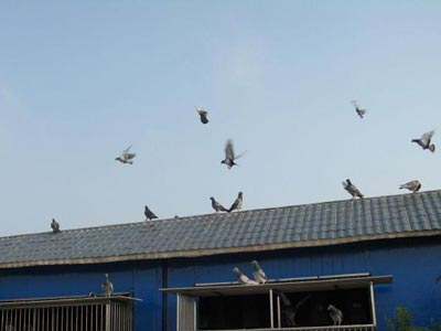 ������ڱ��� ��������һ��