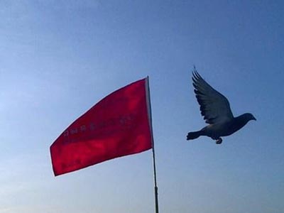 �������죺��ɹ������ֶ�ʽ(һ)