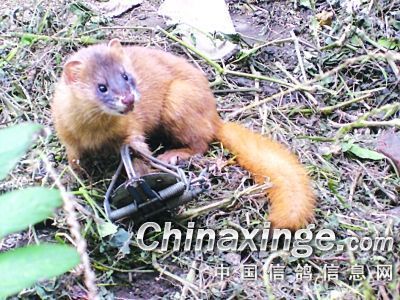 ���˴��� �ø�ȴ������һ����