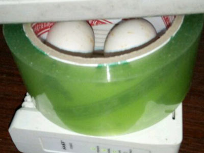 ·�������� �����ô(ͼ)