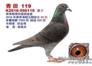 �й�̨�����ﺣ����ػ񽱸�����