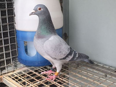 ����������ɾ��ĸ�����(ͼ)