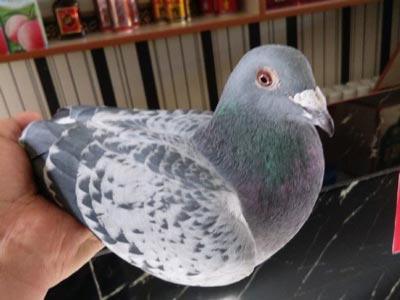 ���С����ߡ�������û�� ��֮����(ͼ)