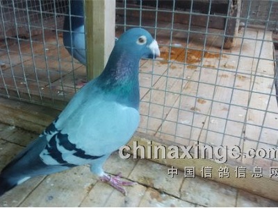 01�����ֹ� ����Զ��һ��(ͼ)