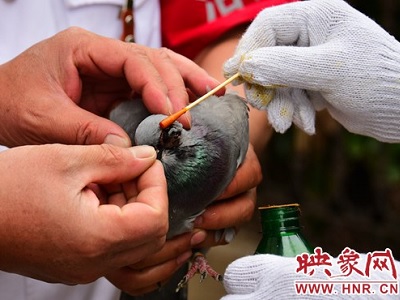 �������Ϯ�� ���������ս�(ͼ)