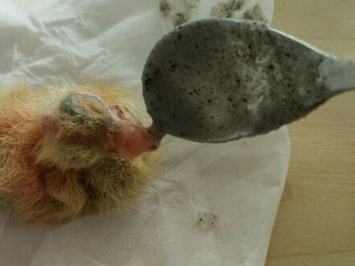 ���Ʊ�������� ����3���ѹ�