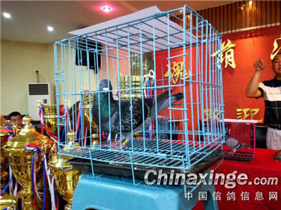 ����Э�������ĸ� ��ɩ����(ͼ)