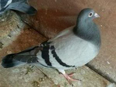 ���ˣ�����̫�� δ��������(ͼ)