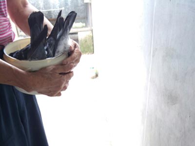 ��ͼ�����ࣺ�����Ѿ���ɵ��(ͼ)