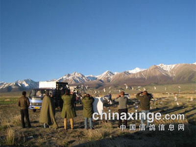 ½״βμӹ ѩɽ·ŷ(ͼ)