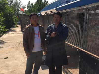 石家庄武汉国家赛首羽归巢鸽验棚(图)