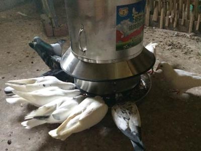 �����ټ�� Ҳ�����������(ͼ)