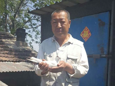 天津市长距离国家赛高位名次鸽检验(图)
