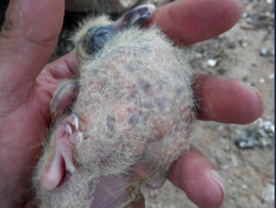 ����ι����ô���ĸ���ô(ͼ)