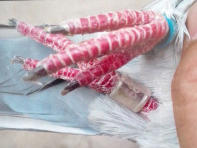 �ٹ����� �㻷���� ����ı��(ͼ)